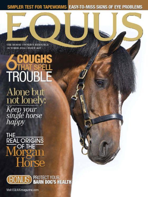 Equus Magazine